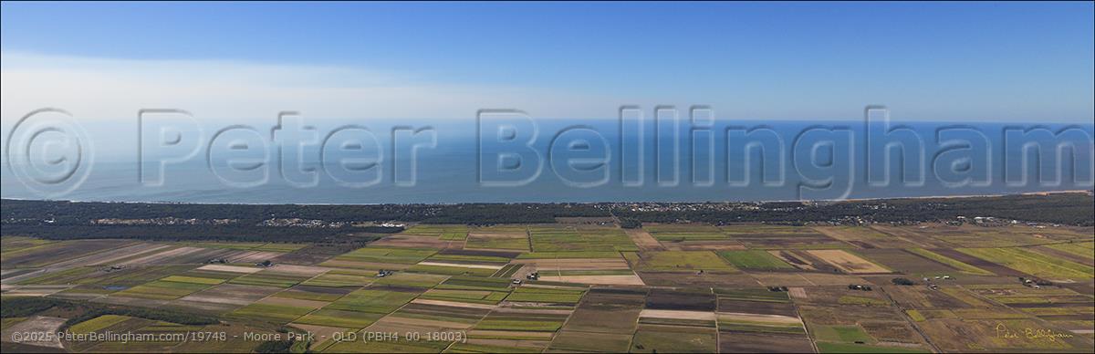 Peter Bellingham Photography Moore Park - QLD (PBH4 00 18003)